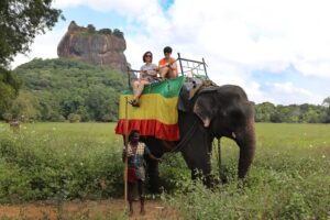 Srilanka elephant riding
